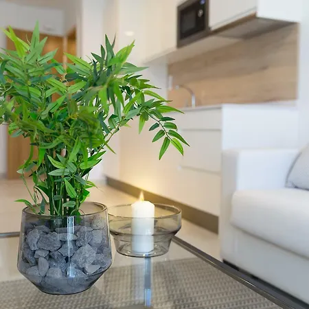Plaza De La Feria Premium Apartment *